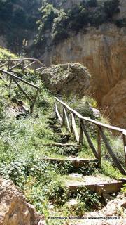 scate del Catafurco-17-06-2015 17-09-42